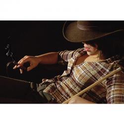 Бильярдный постер Decor-Profi 03033 (70 x 50 см)